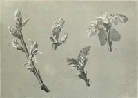 An illustration from International studio (1897)