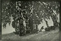 An illustration from International studio (1897)