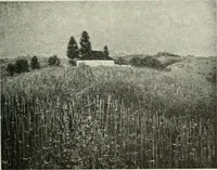 An illustration from International studio (1897)