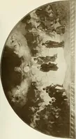 An illustration from International studio (1897)