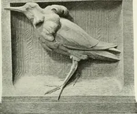 An illustration from International studio (1897)