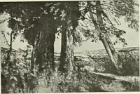 An illustration from International studio (1897)
