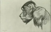 An illustration from International studio (1897)
