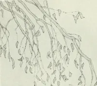An illustration from International studio (1897)