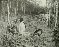 An illustration from International studio (1897)