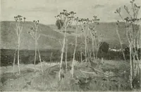 An illustration from International studio (1897)
