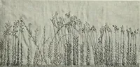 Picture 98 of 584 from International studio (1897), leaf 106