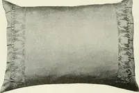 Picture 106 of 584 from International studio (1897), leaf 111