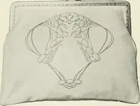 Picture 110 of 584 from International studio (1897), leaf 113