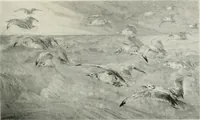 An illustration from International studio (1897)