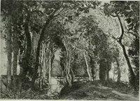 Picture 165 of 584 from International studio (1897), leaf 160