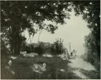 Picture 227 of 584 from International studio (1897), leaf 215