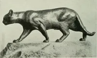 An illustration from International studio (1897)