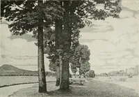 Picture 264 of 584 from International studio (1897), leaf 242