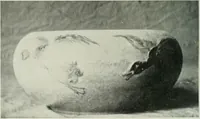 Picture 306 of 584 from International studio (1897), leaf 265
