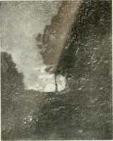 Picture 308 of 584 from International studio (1897), leaf 267