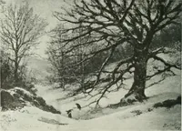 Picture 354 of 584 from International studio (1897), leaf 305