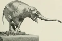 Picture 392 of 584 from International studio (1897), leaf 340