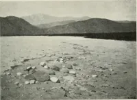 Picture 424 of 584 from International studio (1897), leaf 368