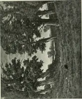 Picture 457 of 584 from International studio (1897), leaf 404