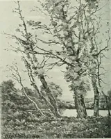 Picture 458 of 584 from International studio (1897), leaf 405
