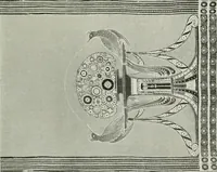 Picture 527 of 584 from International studio (1897), leaf 452