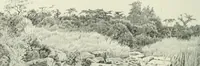 Picture 62 of 584 from International studio (1897), leaf 83