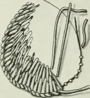 An illustration from International studio (1897)