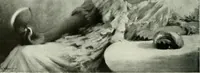 Picture 142 of 519 from International studio (1897), leaf 137