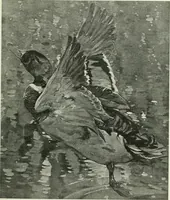 An illustration from International studio (1897)