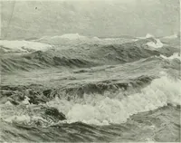 Picture 360 of 519 from International studio (1897), leaf 326