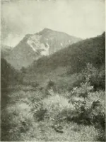 An illustration from International studio (1897)