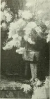 Picture 435 of 519 from International studio (1897), leaf 393