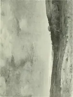 An illustration from International studio (1897)