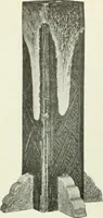 Picture 56 of 519 from International studio (1897), leaf 69