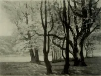 Picture 128 of 554 from International studio (1897), leaf 129