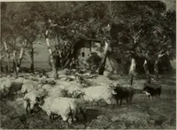 An illustration from International studio (1897)
