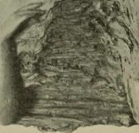 Picture 188 of 554 from International studio (1897), leaf 179