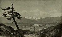 Picture 195 of 554 from International studio (1897), leaf 184