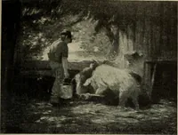 Picture 236 of 554 from International studio (1897), leaf 210