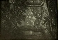 Picture 239 of 554 from International studio (1897), leaf 211