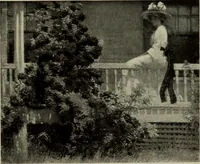 Picture 249 of 554 from International studio (1897), leaf 226