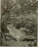 Picture 263 of 554 from International studio (1897), leaf 239