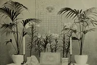 Picture 328 of 554 from International studio (1897), leaf 290