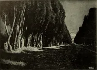 Picture 382 of 554 from International studio (1897), leaf 329