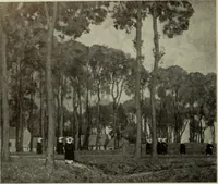 Picture 399 of 554 from International studio (1897), leaf 337