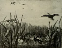 An illustration from International studio (1897)