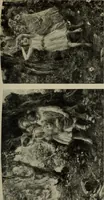 An illustration from International studio (1897)