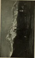 Picture 447 of 554 from International studio (1897), leaf 376