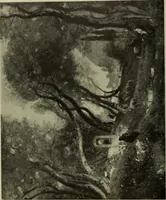 Picture 59 of 554 from International studio (1897), leaf 67